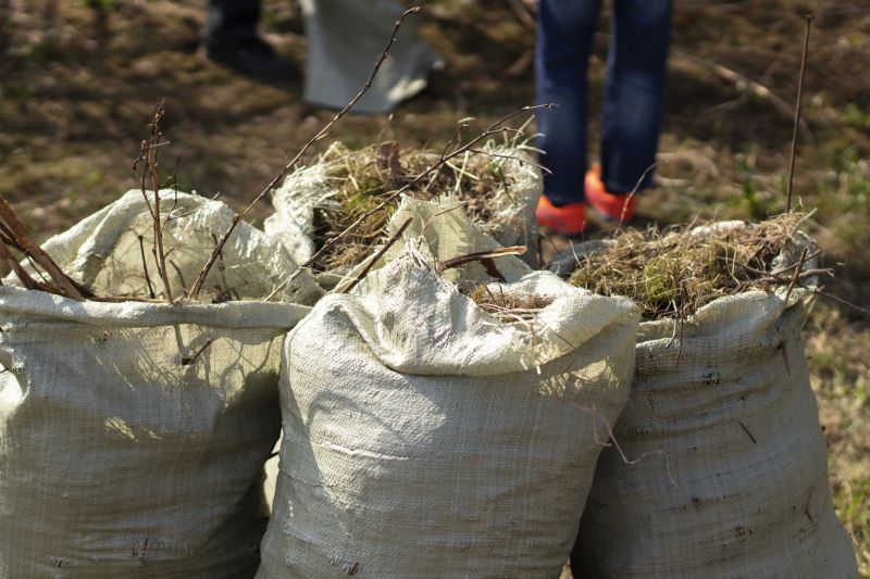 Household Clutter Removal